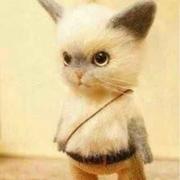 小丸子_的个人资料头像