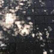 日落星河的个人资料头像