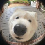用户7267695536925头像
