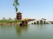 秋画扇的个人资料头像