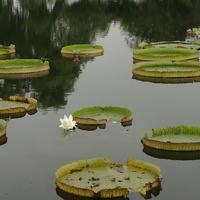000001海阔天空头像