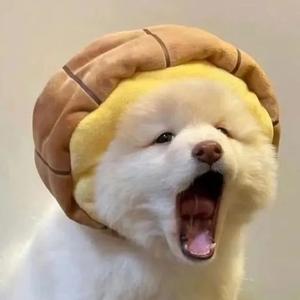 波比的锤头像