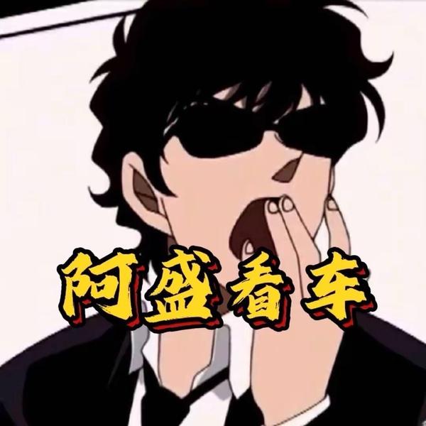 阿盛看车头像