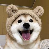 StarDu321头像