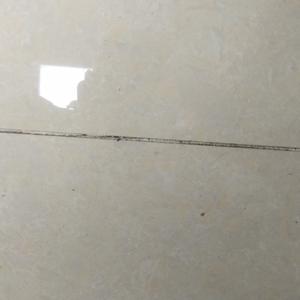 加一个朋友家人吗啡色头像