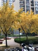 济南摸鱼办主任的个人资料头像