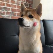 imdevil的个人资料头像