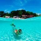 max同学57395的个人资料头像