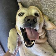 Emmcd的个人资料头像