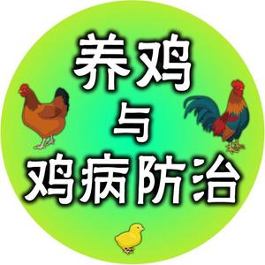 养鸡与鸡病防治头像