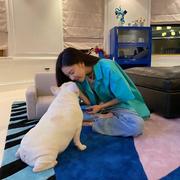 超级无敌显眼宝小前端的个人资料头像
