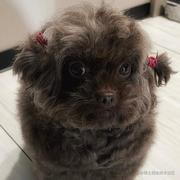 landing_guy的个人资料头像