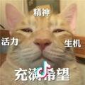 无限血流头像
