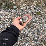 野道自来野头像