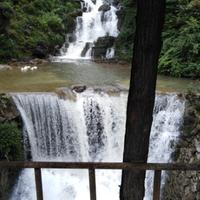 带刺的玫瑰yxj头像