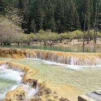 OD马赛克拼图泳池景观头像