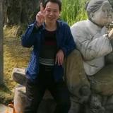 用户4431737378478头像