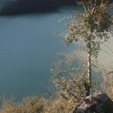 微笑百香果3my头像