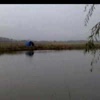 明天的太阳3160头像