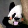 用户1004754246287头像