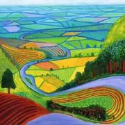 afive你好的个人资料头像