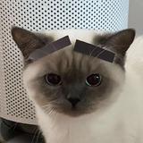 十八7130头像