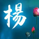 曾是少年杨头像