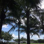 苍穹的个人资料头像