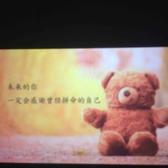 熊熊熊2288头像