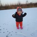 Zz君的个人资料头像