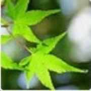 qianyuIm的个人资料头像