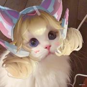 it_lisa的个人资料头像