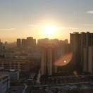 ruifo的个人资料头像