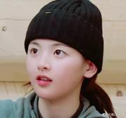 wanggle的个人资料头像