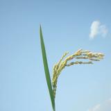 用户5145987394269头像