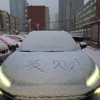 吃萝卜的公兔子头像