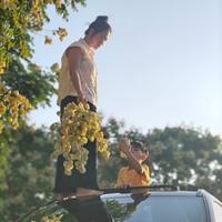 泡泡吹泡泡吗头像