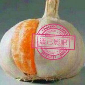 渡己影吧头像