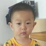 佳崽爸爸头像