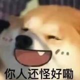 艾冷啊头像