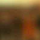 牧人之上的个人资料头像