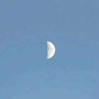 用户5291106397057头像