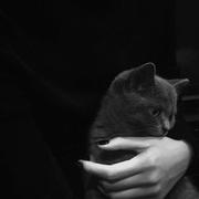 西西弗斯501的个人资料头像