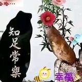 真诚男人A头像