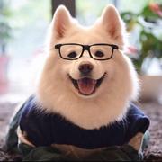 简简單單的个人资料头像