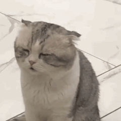 請填写你的用户名的个人资料头像