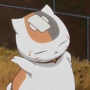 森林熊头像