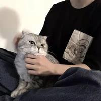 iubaobei头像