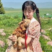 kimikimi的个人资料头像