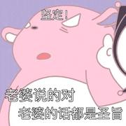 想七的个人资料头像